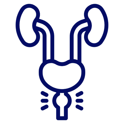 Contribui para a imunidade