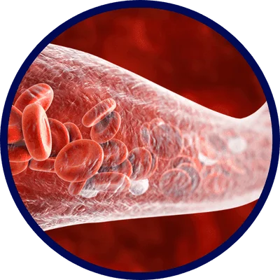 Passo 2 do uso do Viallyx