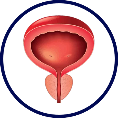 Passo 4 do uso do Viallyx